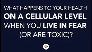 Cell Danger Response - What Happens to You on a Cellular Level when You Live In Fear (or are Toxic)?