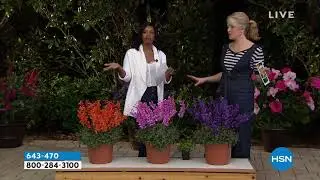 HSN | Lawn & Garden featuring Leaf & Petal Designs Premiere 03.01.2019 - 06 AM