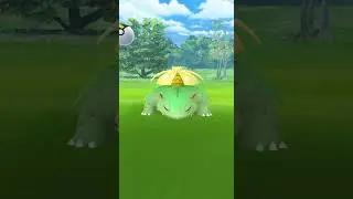 Was it caught? Or will it flee?