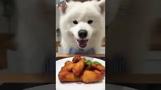 The Crispiest Chicken Wings! Chef Samoyed frying Golden Wings (Look at that skin!)  #ai #funny