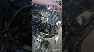 Discover 135 timing chain open 