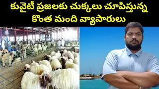 కువైటీ ప్రజలుకు చుక్కలు చూపిస్తున్న || Kuwait Ramadan Month Prices Increase || STV Gulf News
