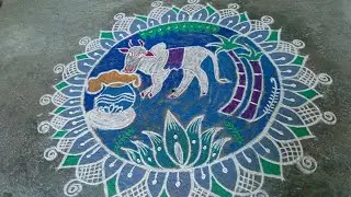 Daily new rangoli kolam #மாட்டுப்பொங்கல்  கோலம் #  trending video 