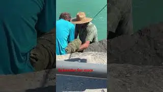 Big Florida Pompano caught on very light tackles #fishing #Pompano #bigfish