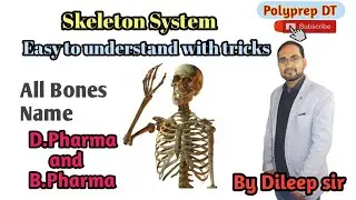 Human skeleton system|| How to Learn bones Name with tricks by Dileep Tiwari