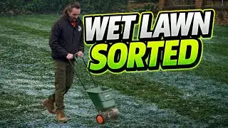 WET? BOGGY LAWN? This FIX Could Be Just What You Need