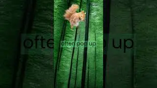 squirrels planted trees? #youtubeshorts #funfacts #facts
