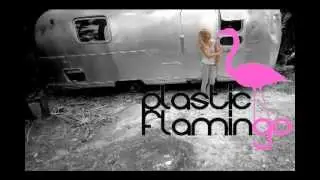 Plastic Flamingo
