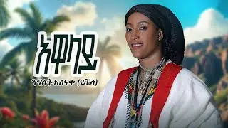 Ngest Asnake - awalay - ንግስት አስናቀ - አዋላይ - New Ethiopian Music 2026 (Official Video )
