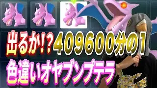 【色違いプテラ】409600分1！！色違いオヤブンプテラ出るか？！900万かけた色違いプテラ3体！！レジェンズZA＃メガ進化なし縛り【カップル実況】