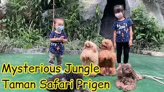 Taman Safari Prigen | Mysterious Jungle | Part 2
