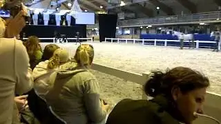 VID-20110911-00087