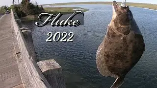 NJ Fluke Fishing Compilation Summer 2022