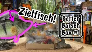 BBB! Better Barsch Box im Unboxing! Alles mit dabei für die Jagd auf fette Kirschen? 🍒