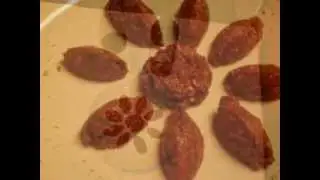 segons