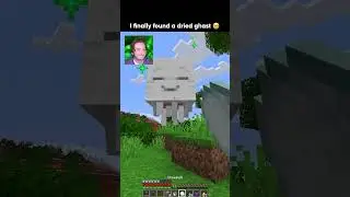 I finally found a dried ghast in Minecraft 🥺🥺
