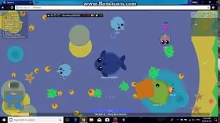 mope.io blue whale