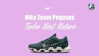Nike Zoom Pegasus / Turbo Next Nature
