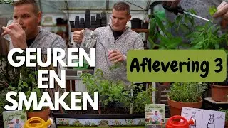 Geuren en smaken - aflevering 3
