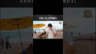 Beast Cool As Cucumba climax song | thalapathy WhatsApp Status