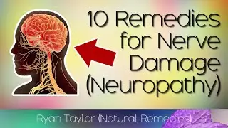 Top 10 Remedies To Repair Nerve Damage (Peripheral Neuropathy)