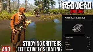 How to STUDY CRITTERS and EFFECTIVELY Sedate Animals in Red Dead Online- Naturalist Role