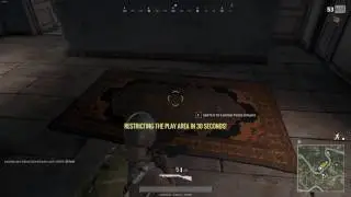 PLAYERUNKNOWN'S BATTLEPING