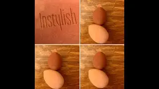 The ONLY Blending Sponges You Will Ever Need!  InStylish!
