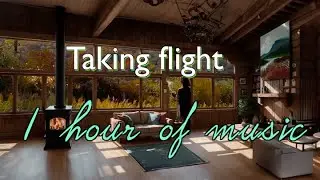 1 hour of music - Taking flight #lofi #Hekelberri