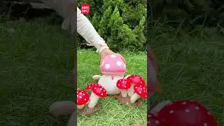 Introducing Adorable Mushroom Plush Toys - Collect Them All! #minisoaustralia #plushtoy #shorts