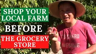 How & Why to Shop Your Local You-Pick Farm Before the Grocery Store