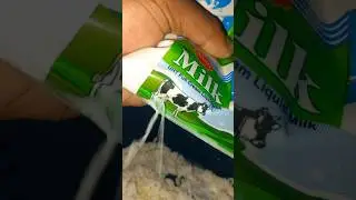 #prankvideo #cowmilk #ytshort #pondabd