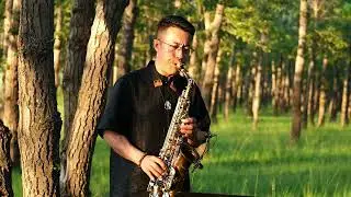 红唇 | Rollins Saxophone Alto RSA-9902s