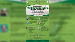 Wildlife Conservation: an insight into effects of COVID-19 pandemic
