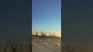 Sunrise to Sunset Meditation Timelapse  #meditation #timelapse #shorts #nature