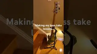 Bass lessons 101 #jazz #music #funk #bassplayer