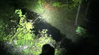 Thrunite TT20 Flashlight Review, New 21700 Tac Light, 2500+ LM (20% OFF)