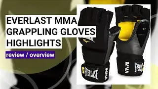 Review of Everlast Pro Style MMA Grappling Gloves: Durability and Comfort Tested