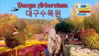 Daegu Arboretum   대구관광안내
