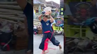 Bantengan PUTRO MAHESO SEJATI Ngamok #jaranan #mberot #bantengan #shortvideo #shorts #short