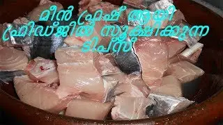 മീൻ ഫ്രഷ് ആയി ഫ്രിഡ്&zwnj;ജിൽ സൂക്ഷിക്കുന്ന ടിപ്സ്/How To Store Fish In Freezer/Rec:91