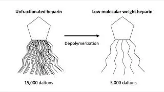 Low Molecular Weight Heparins