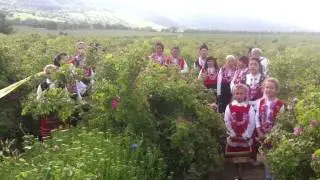 Bulgarian Custom of Rose Picking @ Valley of Roses