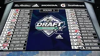 NHL 2019-20 Fantasy Hockey Season Draft.