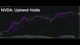 URGENT NVIDIA UPDATE: UPTREND HOLDS! | NVDA Price Targets & New Buy Zone Revealed
