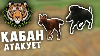 ПУМБА В ROYAL RESERVE [Royal Reserve]