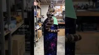 snake has helium... then flies away 🤣 #brasilhumor #funny #animals