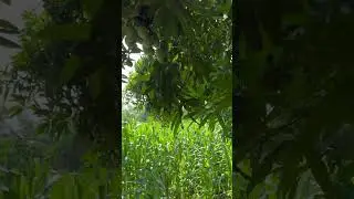 Lindo el campo 😇😍#elcampo #paratiiiiiiiiiiiiiiiiiiiiiiiiiiiiiii