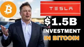 MASSIVE 🔔 Tesla $1.5B Bitcoin Purchase | Safepal Binance Trading | BOT Ocean