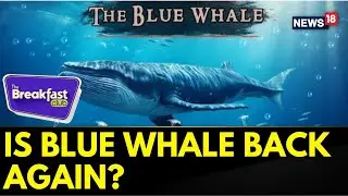 The Breakfast Club | Is Blue Whale Back Again? | How To Protect One's Child From Online Gaming ?
